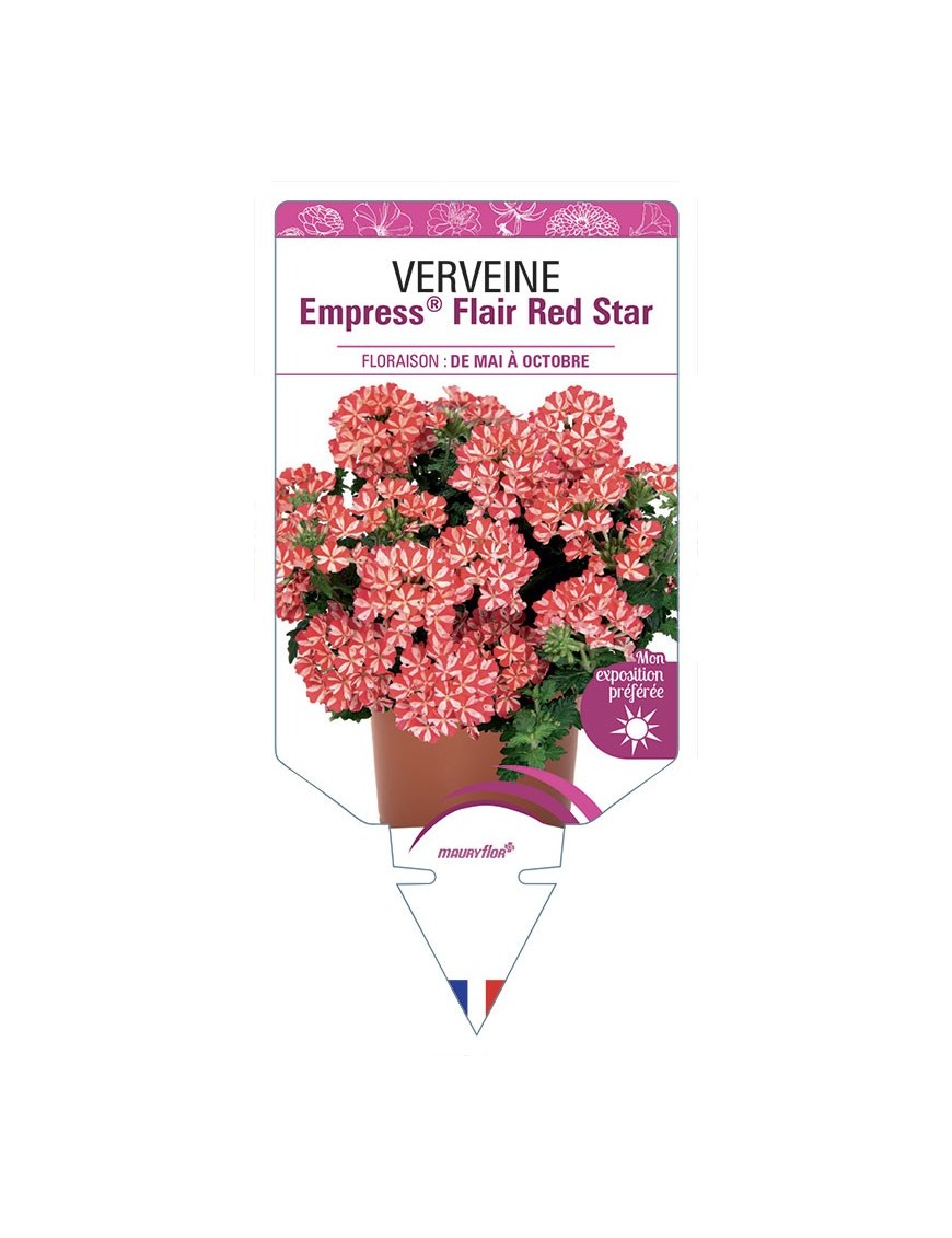 VERVEINE Empress® Flair Red Star