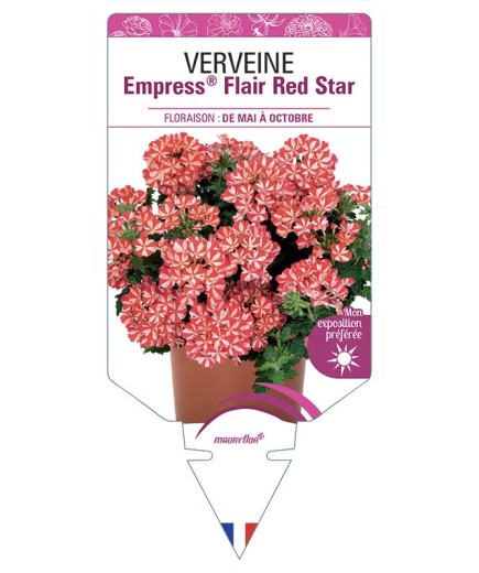 VERVEINE Empress® Flair Red Star