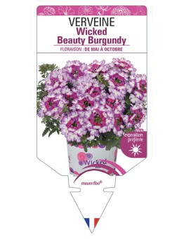 VERVEINE Wicked Beauty Burgundy
