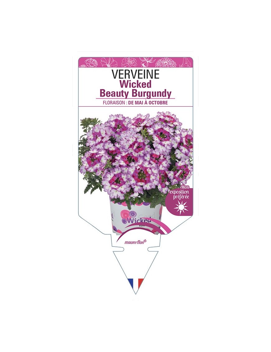 VERVEINE Wicked Beauty Burgundy