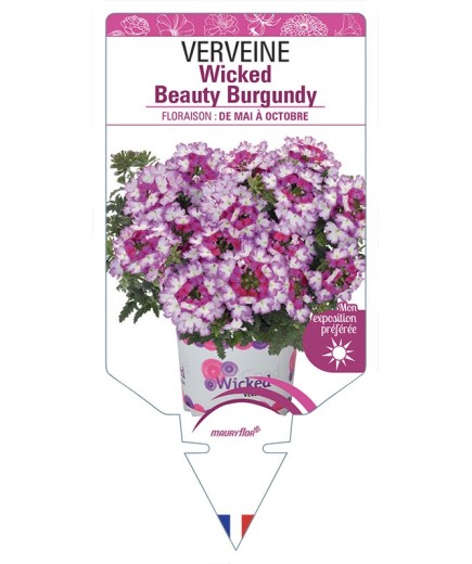VERVEINE Wicked Beauty Burgundy