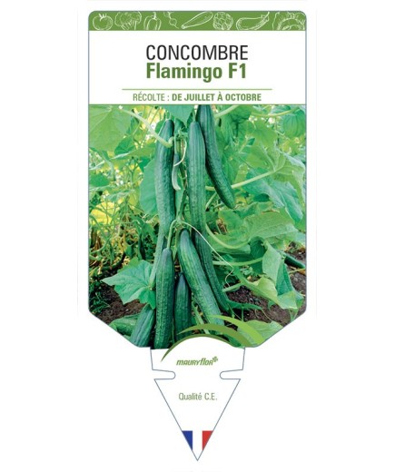 CONCOMBRE FLAMINGO F1