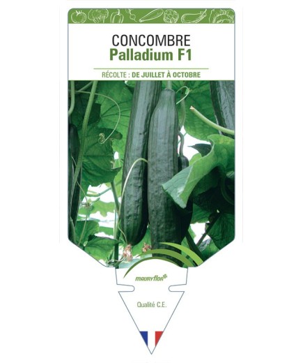 CONCOMBRE PALLADIUM F1