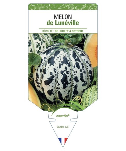 MELON DE LUNÉVILLE