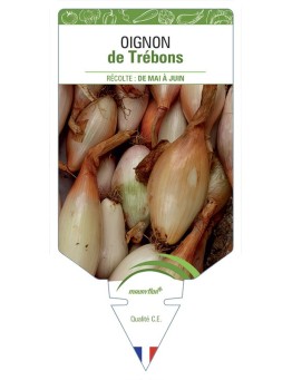 OIGNON DE TRÉBONS