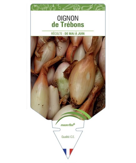 OIGNON DE TRÉBONS
