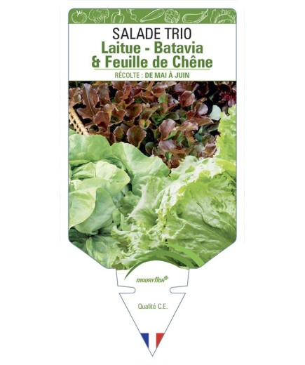 SALADE TRIO (LAITUE - BATAVIA & FEUILLE DE CHÊNE)