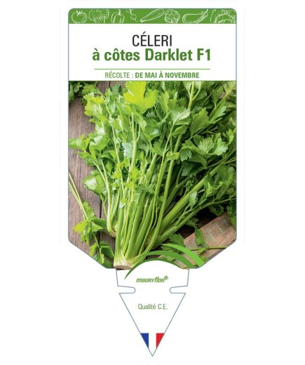 CELERI à côtes Darklet F1