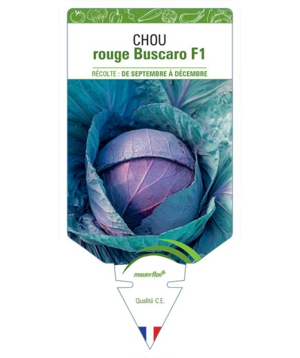 CHOU ROUGE BUSCARO F1