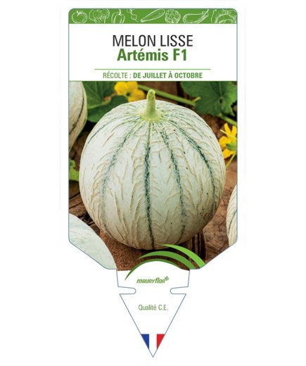 MELON LISSE ARTEMIS F1