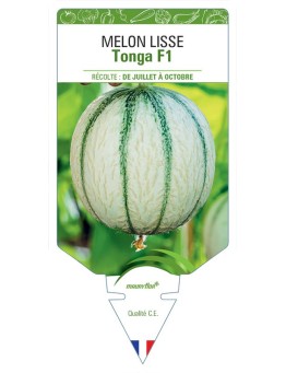 MELON LISSE TONGA F1