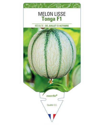 MELON LISSE TONGA F1