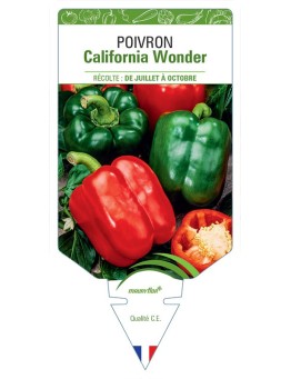 POIVRON CALIFORNIA WONDER