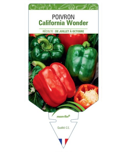 POIVRON CALIFORNIA WONDER
