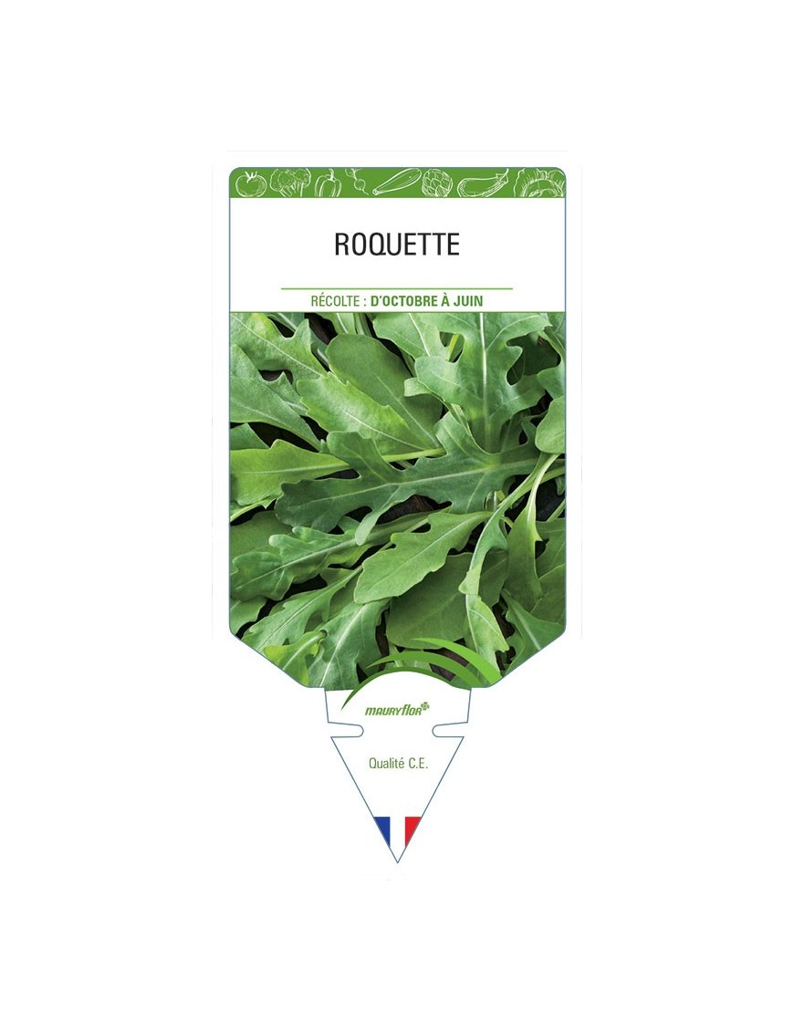 ROQUETTE