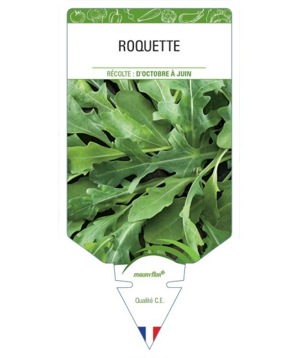 ROQUETTE
