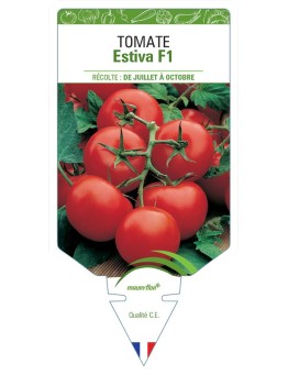 TOMATE ESTIVA F1