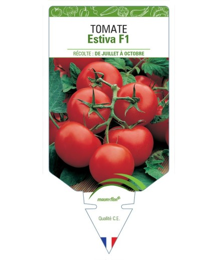 TOMATE ESTIVA F1