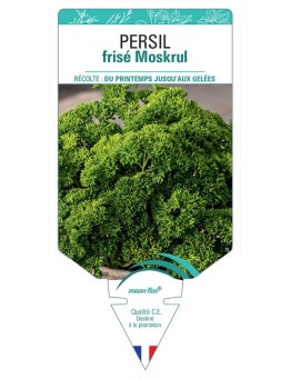 PERSIL FRISE MOSKRUL