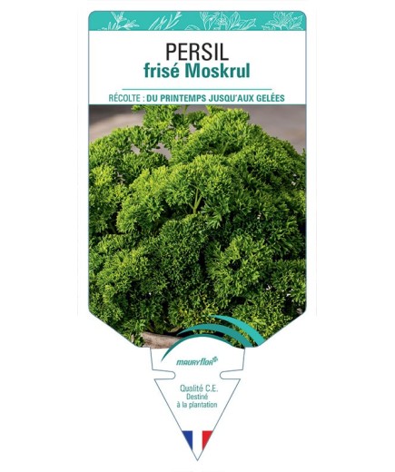 PERSIL FRISE MOSKRUL