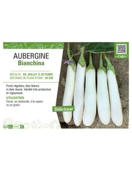AUBERGINE BIANCHINA