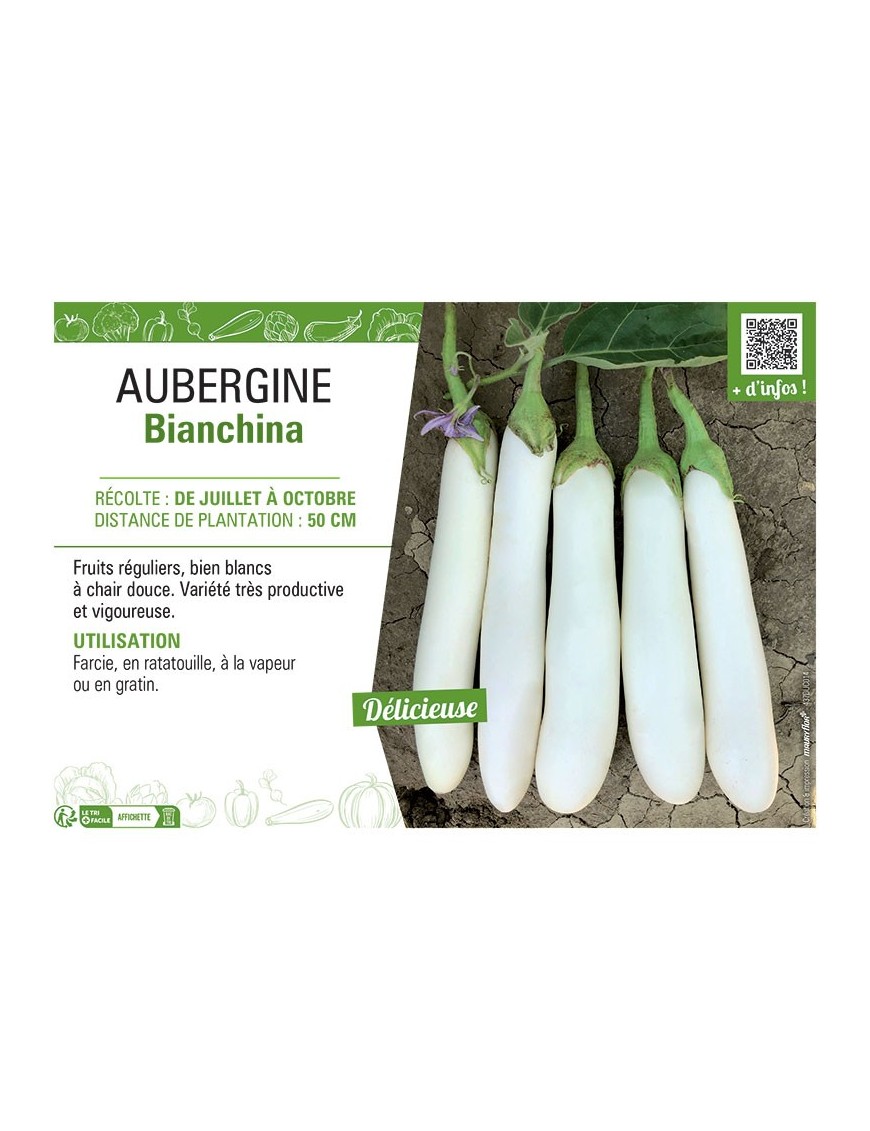 AUBERGINE BIANCHINA