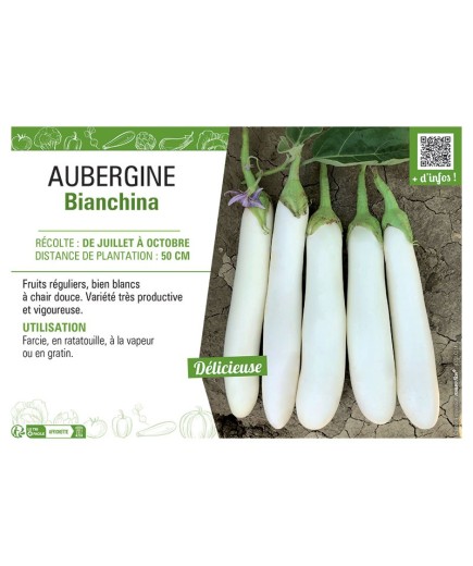 AUBERGINE BIANCHINA