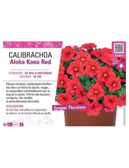 CALIBRACHOA Aloha Kona Red