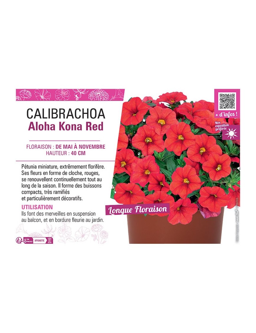 CALIBRACHOA Aloha Kona Red