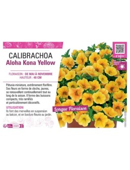 CALIBRACHOA Aloha Kona Yellow