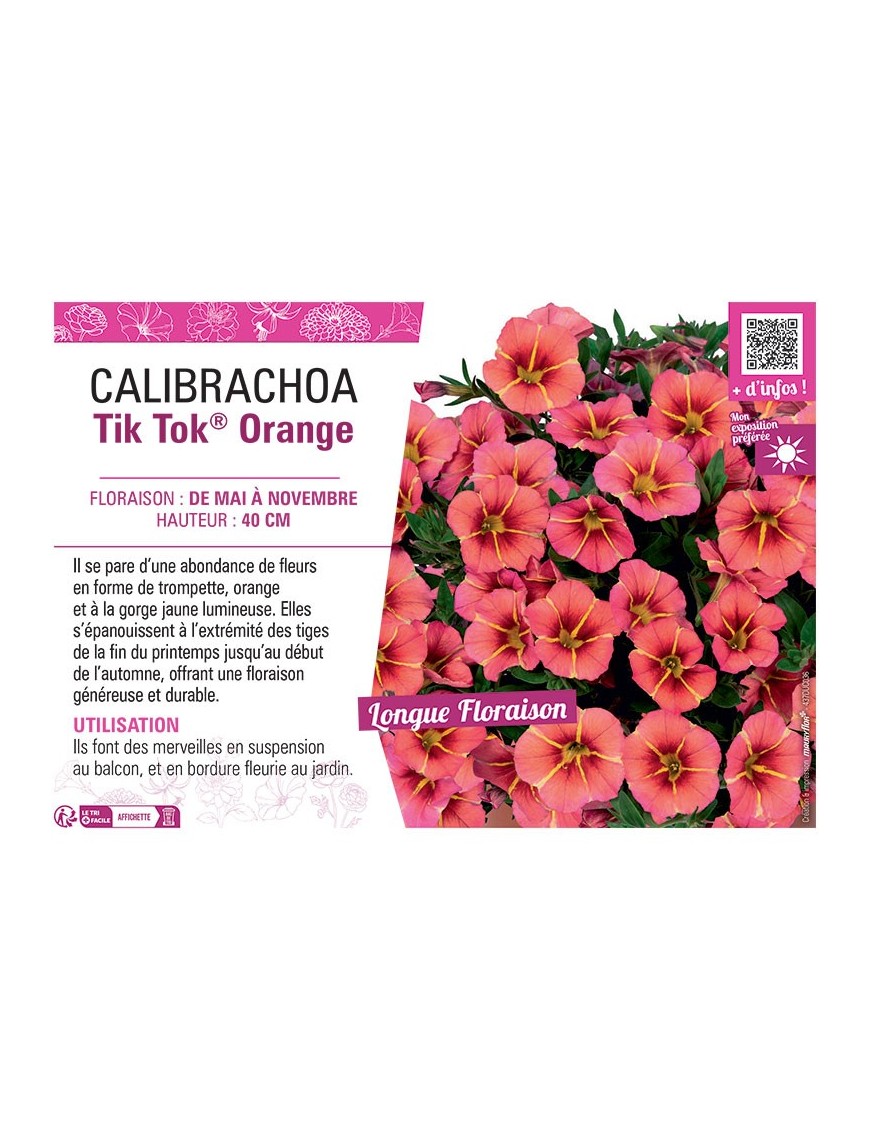 CALIBRACHOA Tik Tok® Orange