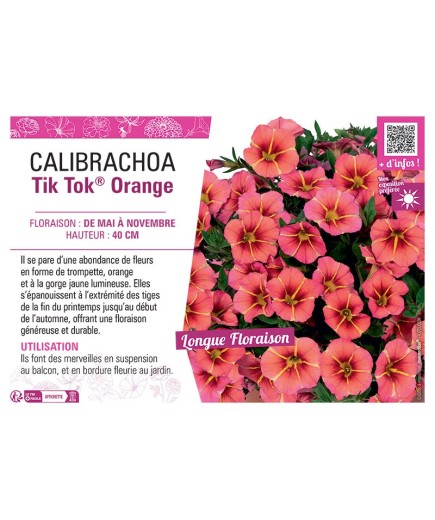 CALIBRACHOA Tik Tok® Orange