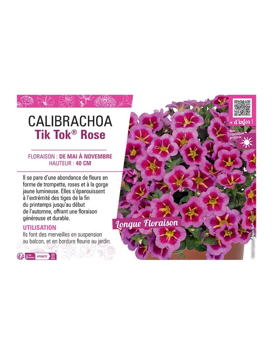 CALIBRACHOA Tik Tok® Rose