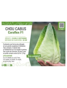 CHOU CABUS Caraflex F1