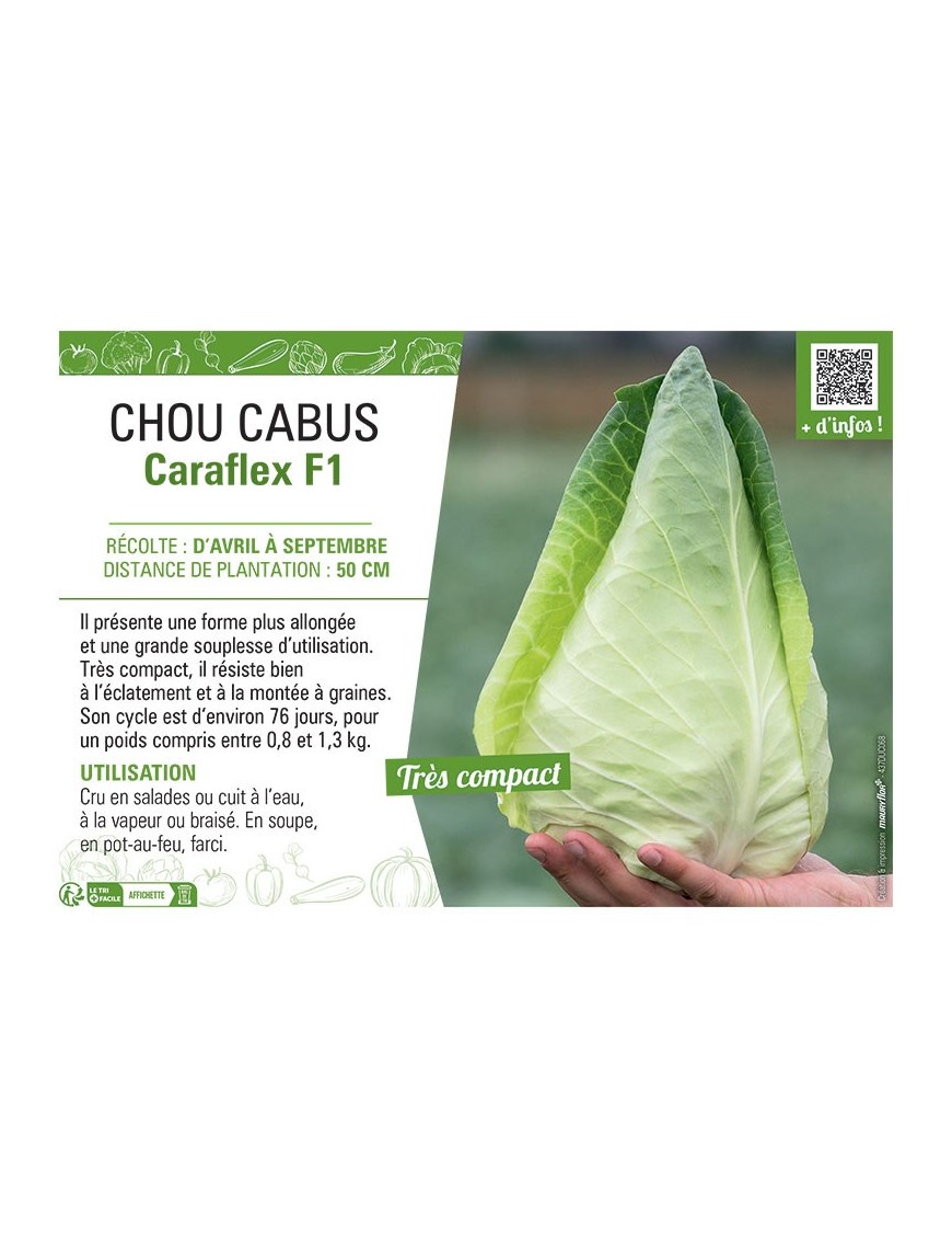 CHOU CABUS Caraflex F1