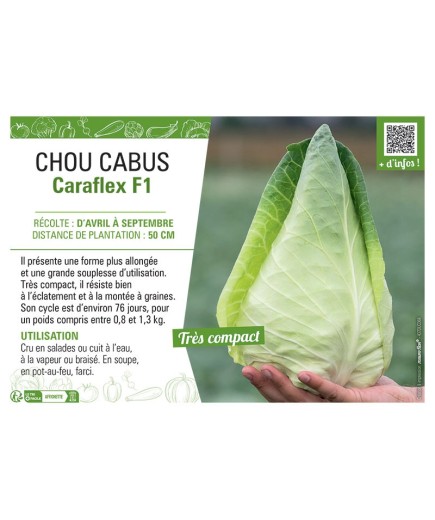 CHOU CABUS Caraflex F1