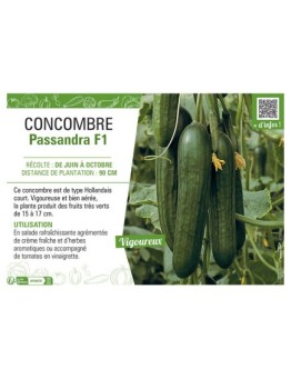 CONCOMBRE Passandra F1