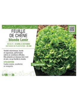 FEUILLE DE CHÊNE blonde Lenir