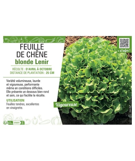 FEUILLE DE CHÊNE blonde Lenir
