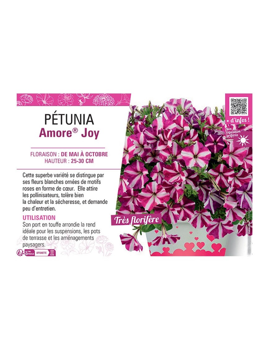 PÉTUNIA Amore® Joy