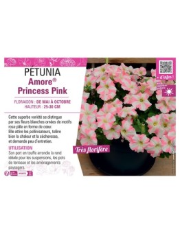 PÉTUNIA Amore® Princess Pink