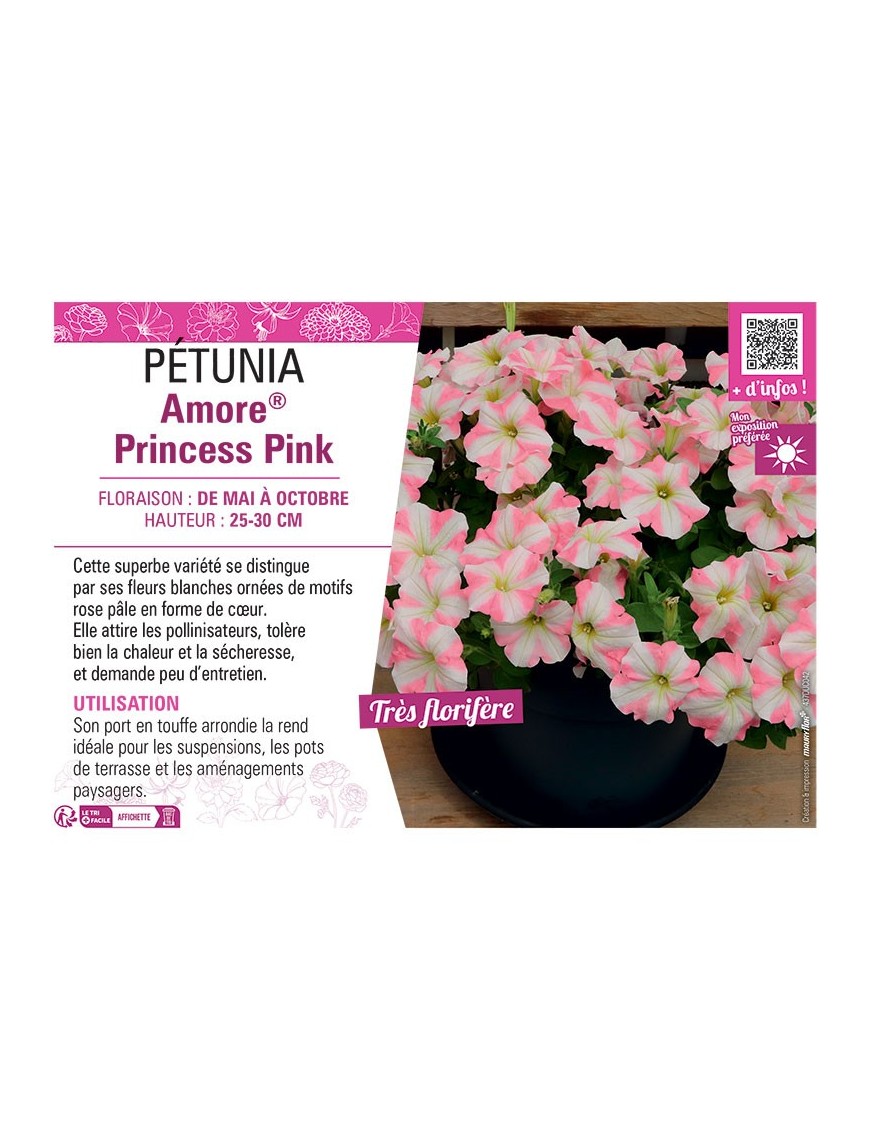 PÉTUNIA Amore® Princess Pink