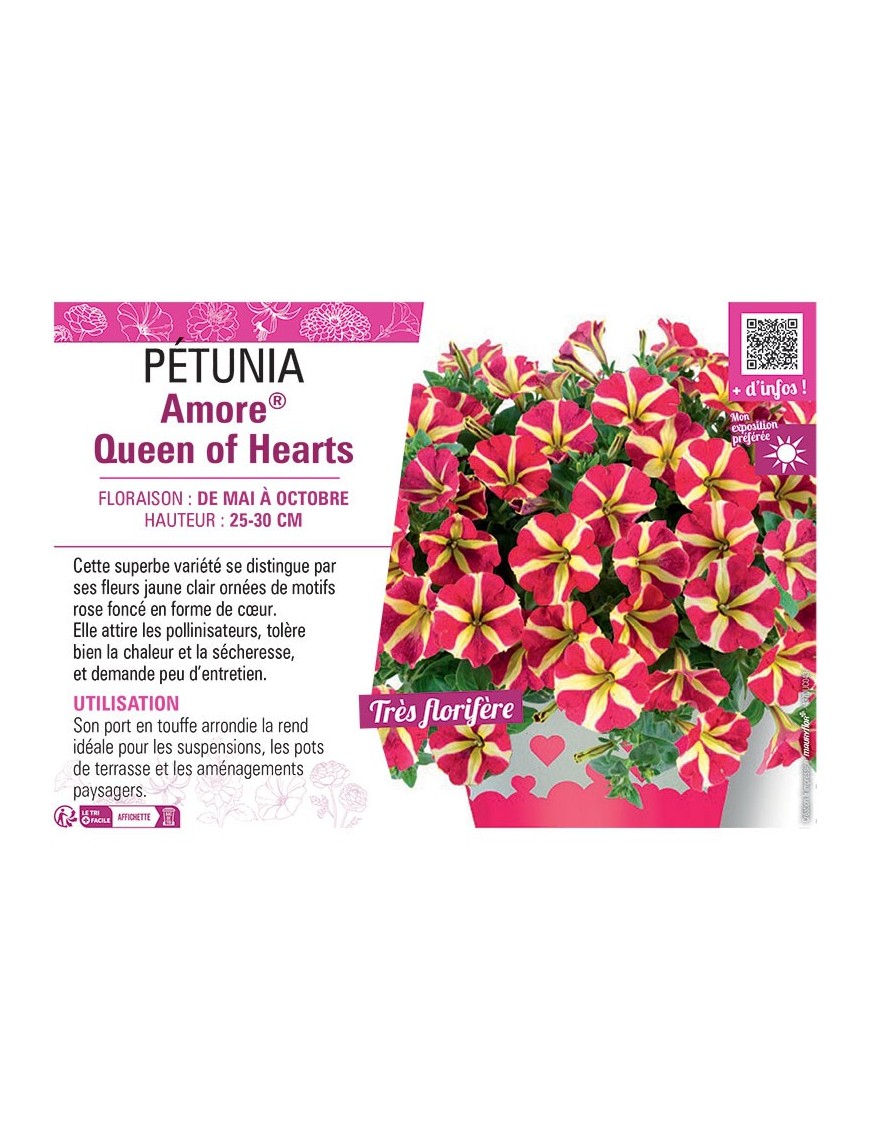 PÉTUNIA Amore® Queen of Hearts