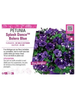 PÉTUNIA Splash DanceTM Bolero Blue