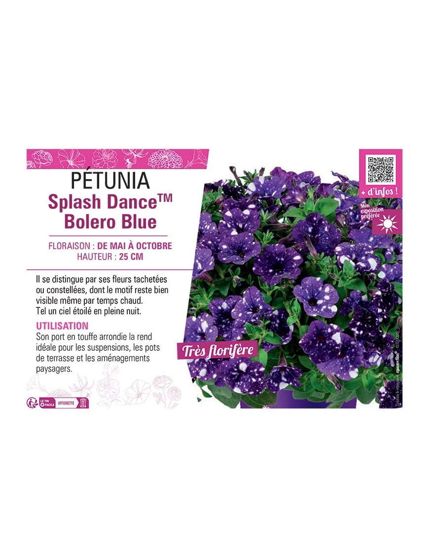 PÉTUNIA Splash DanceTM Bolero Blue