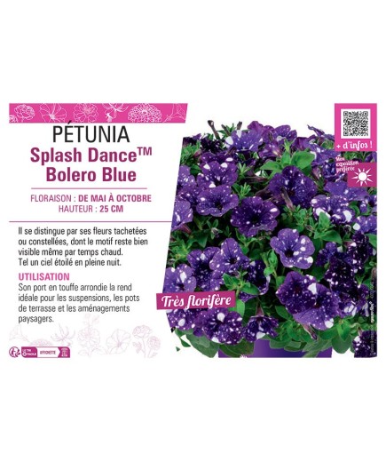 PÉTUNIA Splash DanceTM Bolero Blue