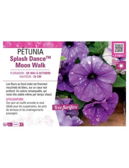 PÉTUNIA Splash DanceTM Moon Walk