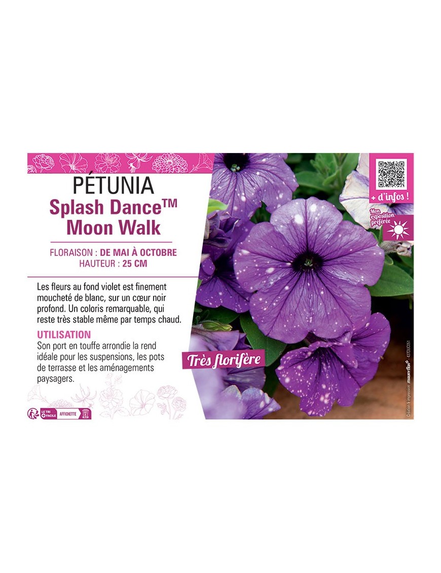 PÉTUNIA Splash DanceTM Moon Walk