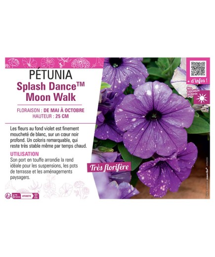 PÉTUNIA Splash DanceTM Moon Walk