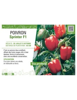 POIVRON Sprinter F1